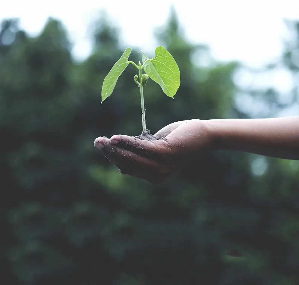 微信圖片_20210329160136.jpg 微信圖片_20210329160136.jpg