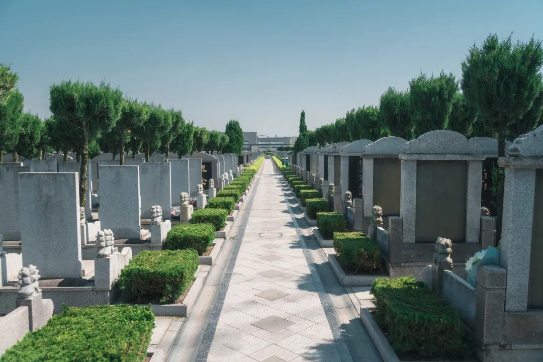 清明時(shí)節|莫負好春光