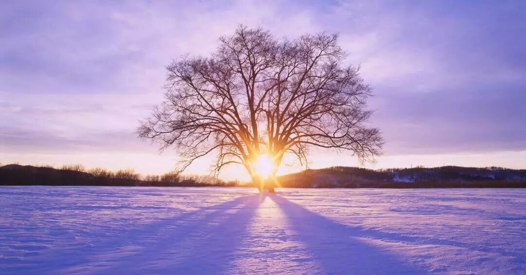 立冬將至|冬是貯藏，也是企盼