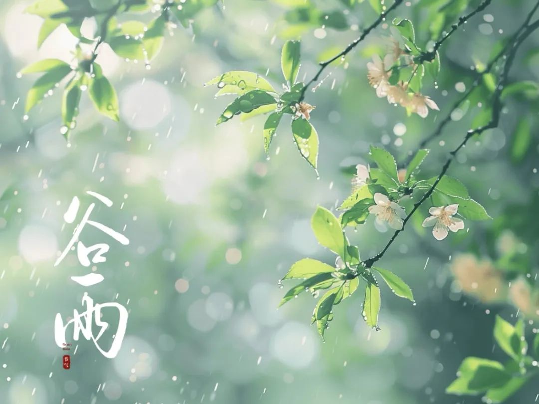 谷雨潤萬(wàn)物，酥香寄深情